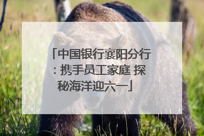 中国银行襄阳分行：携手员工家庭 探秘海洋迎六一