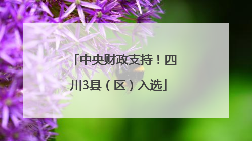 中央财政支持！四川3县（区）入选