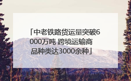中老铁路货运量突破6000万吨 跨境运输商品种类达3000余种
