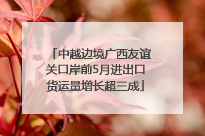 中越边境广西友谊关口岸前5月进出口货运量增长超三成