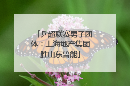 乒超联赛男子团体：上海地产集团胜山东鲁能