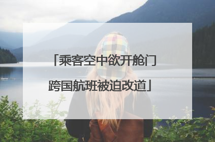 乘客空中欲开舱门 跨国航班被迫改道
