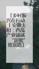 乡村振兴在行动丨安徽太和：西瓜产业铺就“甜蜜”致富路