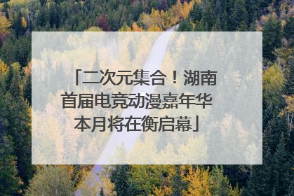 二次元集合！湖南首届电竞动漫嘉年华本月将在衡启幕