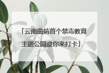 云南曲靖首个禁毒教育主题公园邀你来打卡