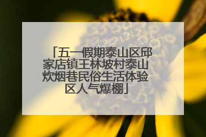 五一假期泰山区邱家店镇王林坡村泰山炊烟巷民俗生活体验区人气爆棚