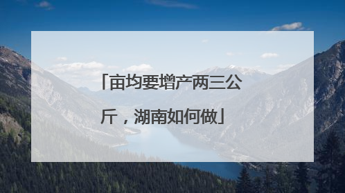 亩均要增产两三公斤，湖南如何做