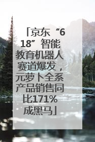 京东“618”智能教育机器人赛道爆发，元萝卜全系产品销售同比171%成黑马