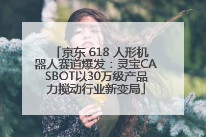 京东 618 人形机器人赛道爆发：灵宝CASBOT以30万级产品力搅动行业新变局