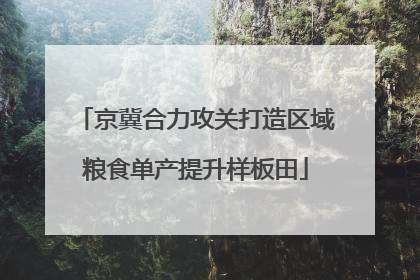 京冀合力攻关打造区域粮食单产提升样板田