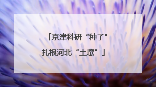 京津科研“种子”扎根河北“土壤”