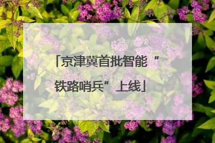 京津冀首批智能“铁路哨兵”上线