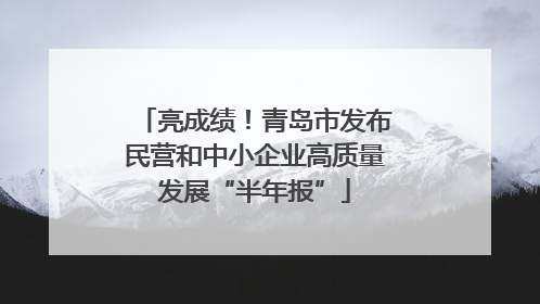 亮成绩！青岛市发布民营和中小企业高质量发展“半年报”