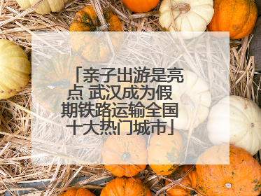 亲子出游是亮点 武汉成为假期铁路运输全国十大热门城市
