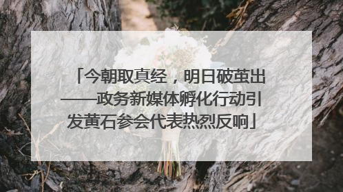 今朝取真经，明日破茧出——政务新媒体孵化行动引发黄石参会代表热烈反响