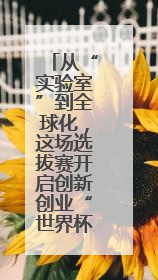 从“实验室”到全球化，这场选拔赛开启创新创业“世界杯”