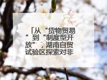 从“货物贸易”到“制度型开放”，湖南自贸试验区探索对非合作新模式