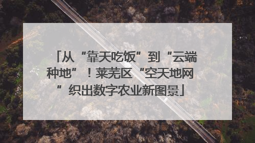 从“靠天吃饭”到“云端种地”！莱芜区“空天地网”织出数字农业新图景