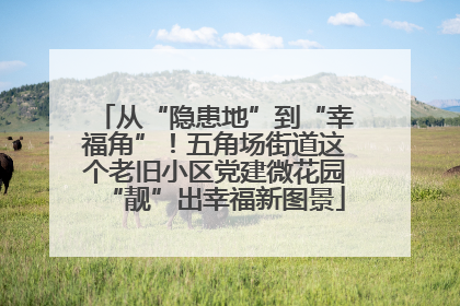 从“隐患地”到“幸福角”！五角场街道这个老旧小区党建微花园“靓”出幸福新图景