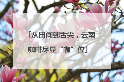 从田间到舌尖，云南咖啡尽显“咖”位