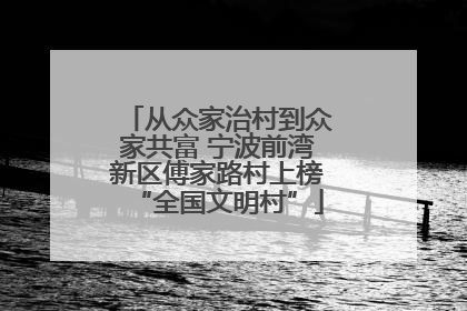 从众家治村到众家共富 宁波前湾新区傅家路村上榜“全国文明村”