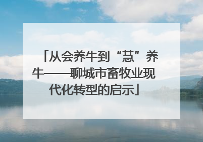 从会养牛到“慧”养牛——聊城市畜牧业现代化转型的启示