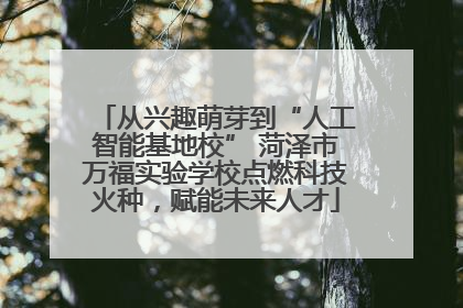 从兴趣萌芽到“人工智能基地校” 菏泽市万福实验学校点燃科技火种，赋能未来人才
