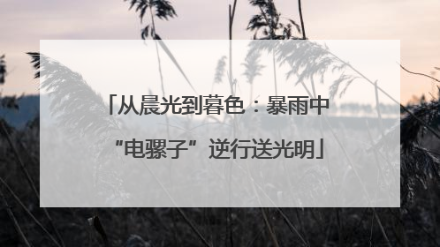 从晨光到暮色：暴雨中“电骡子”逆行送光明