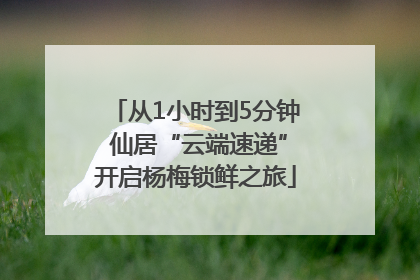 从1小时到5分钟 仙居“云端速递”开启杨梅锁鲜之旅