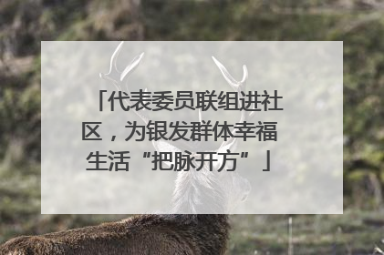 代表委员联组进社区，为银发群体幸福生活“把脉开方”