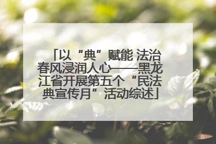 以“典”赋能 法治春风浸润人心——黑龙江省开展第五个“民法典宣传月”活动综述
