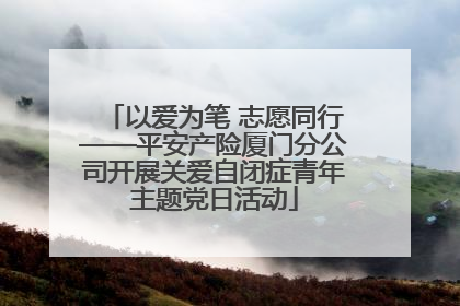 以爱为笔 志愿同行——平安产险厦门分公司开展关爱自闭症青年主题党日活动