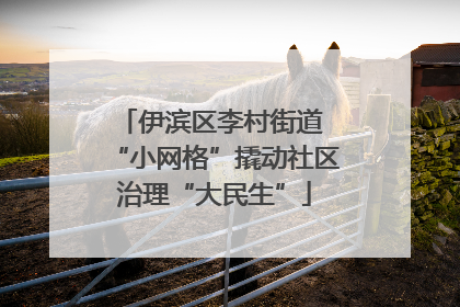 伊滨区李村街道 “小网格”撬动社区治理“大民生”