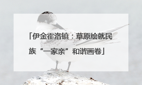 伊金霍洛镇：草原绘就民族“一家亲”和谐画卷