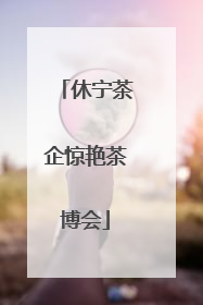 休宁茶企惊艳茶博会