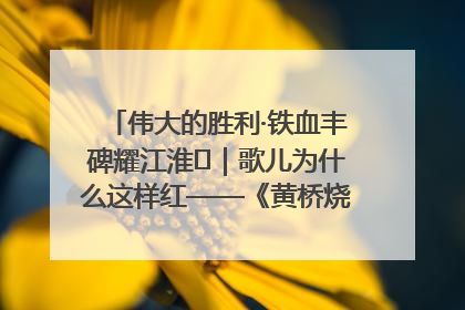 伟大的胜利·铁血丰碑耀江淮⑫｜歌儿为什么这样红——《黄桥烧饼歌》诞生记
