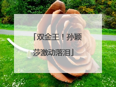 双金王！孙颖莎激动落泪