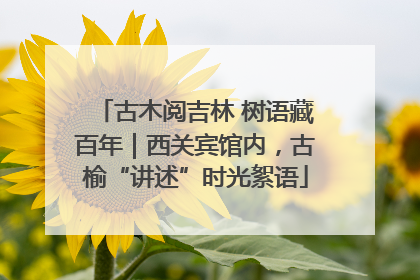 古木阅吉林 树语藏百年｜西关宾馆内，古榆“讲述”时光絮语