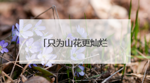 只为山花更灿烂——记全国先进工作者陈萍花