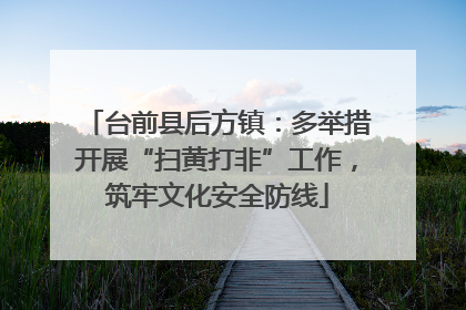 台前县后方镇：多举措开展“扫黄打非”工作，筑牢文化安全防线