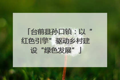 台前县孙口镇：以“红色引擎”驱动乡村建设“绿色发展”