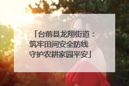 台前县龙翔街道：筑牢田间安全防线 守护农耕家园平安