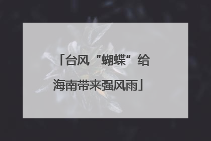 台风“蝴蝶”给海南带来强风雨