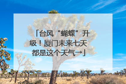台风“蝴蝶”升级！厦门未来七天都是这个天气→