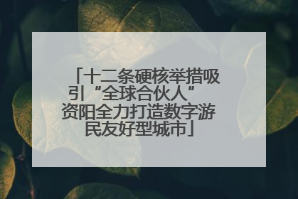 十二条硬核举措吸引“全球合伙人” 资阳全力打造数字游民友好型城市