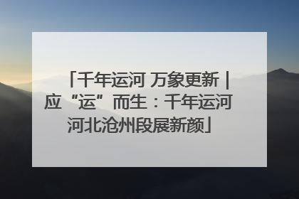 千年运河 万象更新｜应“运”而生：千年运河河北沧州段展新颜