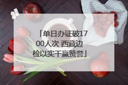 单日办证破1700人次 西藏边检以实干赢赞誉