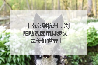 南京到杭州，浏阳助残团用脚步丈量美好世界