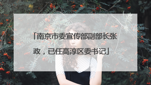 南京市委宣传部副部长张政，已任高淳区委书记