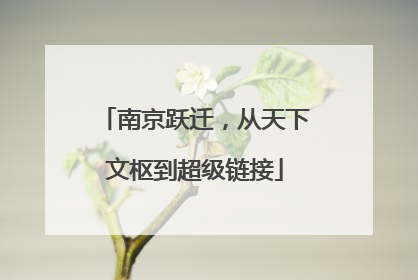南京跃迁，从天下文枢到超级链接